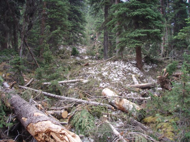 p7118778.jpg