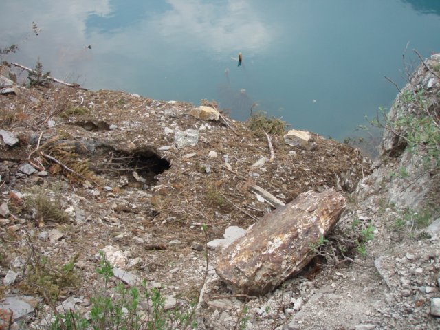 p7118783.jpg