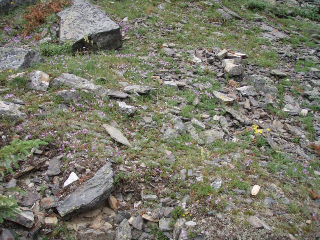 p7118788.jpg
