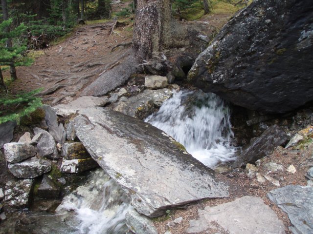 p7118791.jpg