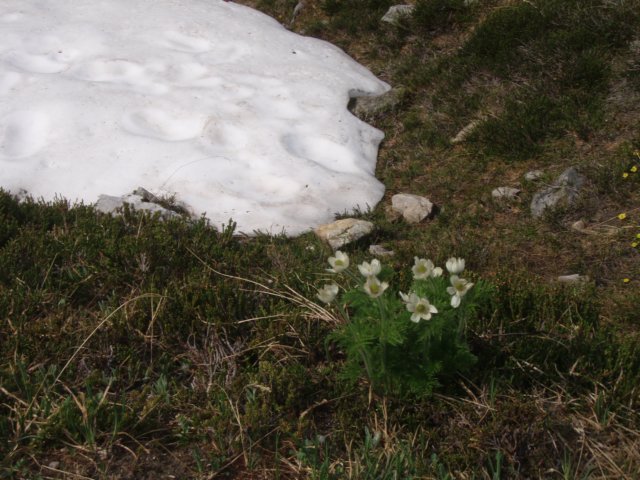 p7128793.jpg