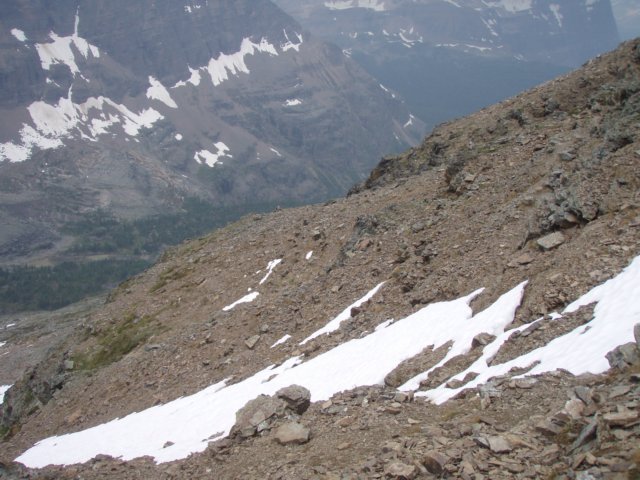 p7128802.jpg