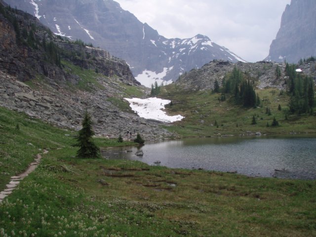 p7128805.jpg