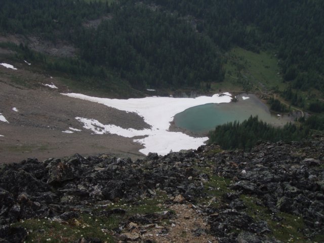p7128813.jpg