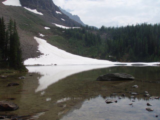 p7128815.jpg