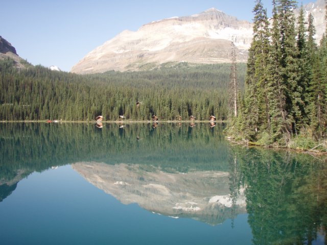 p8108836.jpg