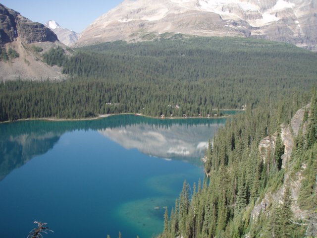p8108838.jpg