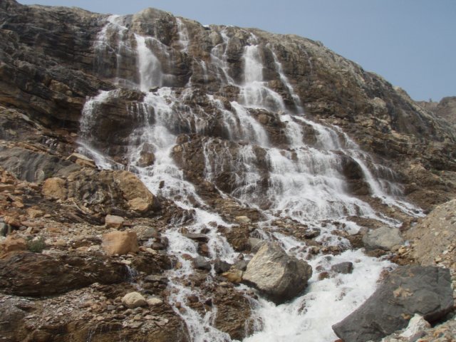 p8128867.jpg