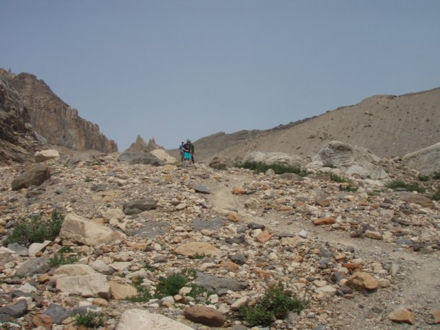 p8128868.jpg