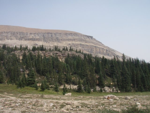 p8128870.jpg