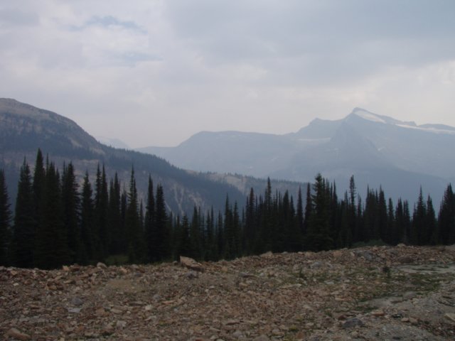 p8138875.jpg
