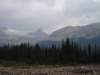 p8138877_small.jpg