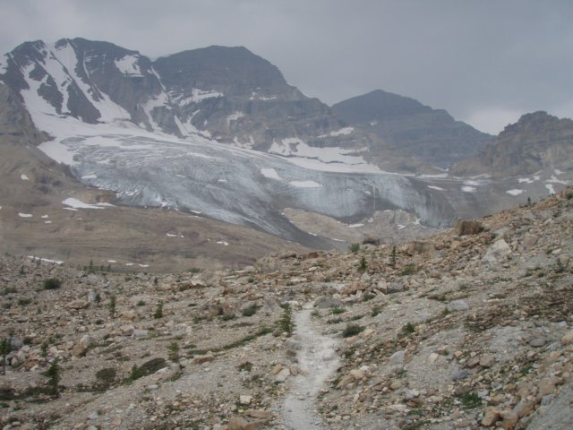 p8138878.jpg
