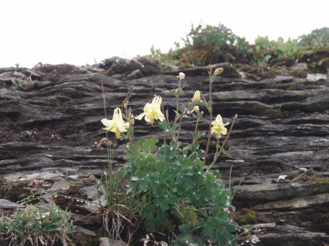 p7142751.jpg