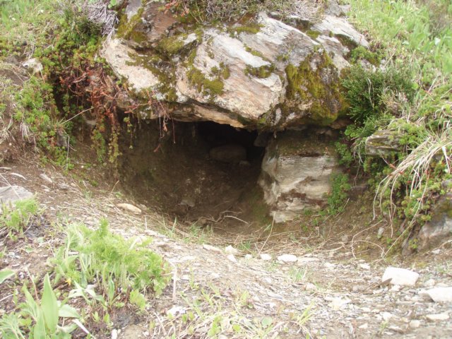 p7142766.jpg