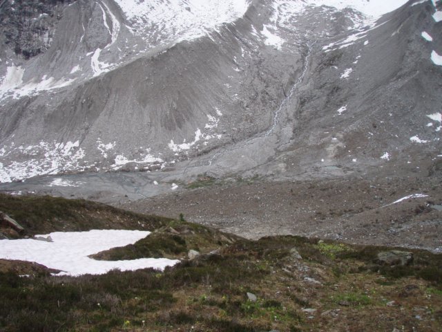 p7142770.jpg