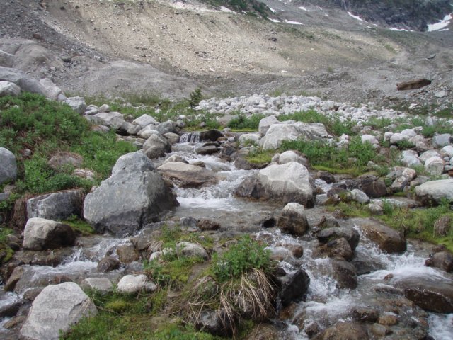 p7162811.jpg