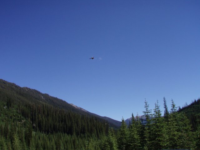 p7172829.jpg