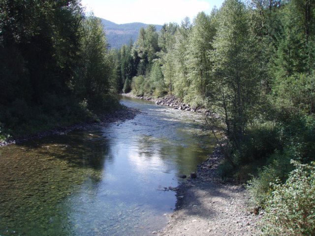 p8233011.jpg