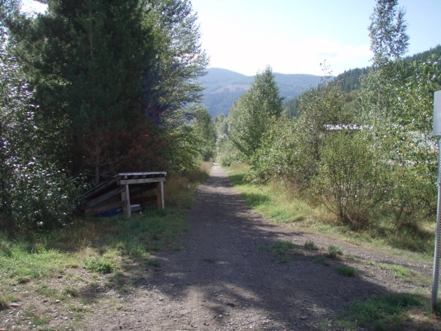 p8233017.jpg