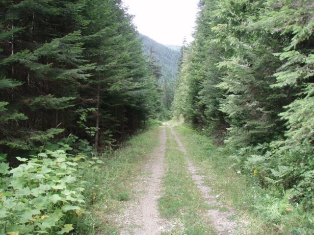 p8233030.jpg