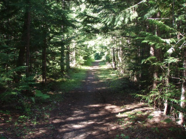 p8243050.jpg