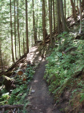 p8243071.jpg