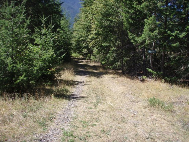 p8243081.jpg