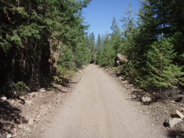 p8253094.jpg
