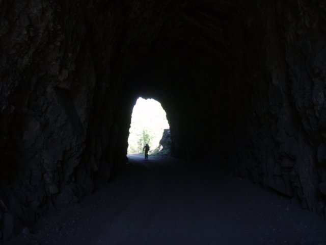 p8253097.jpg