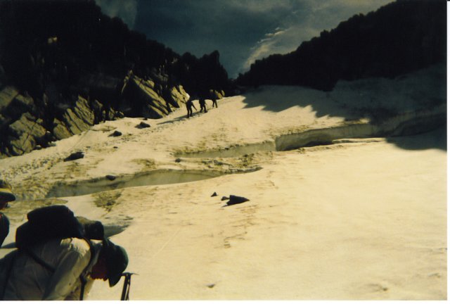 accfairymeadows2001019.jpg