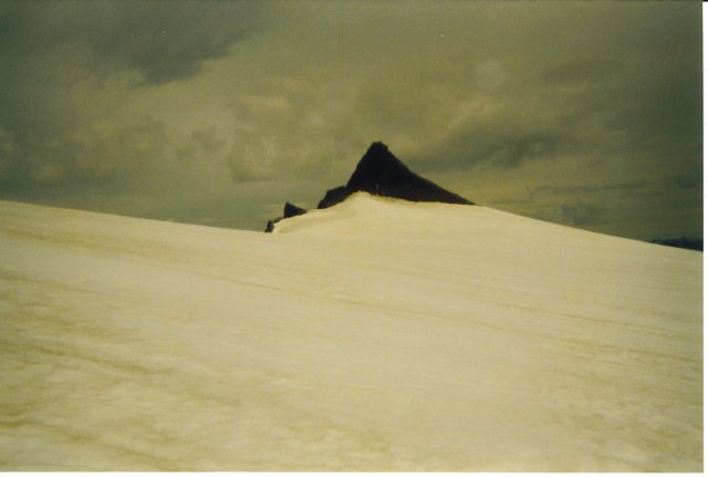 accfairymeadows2001049.jpg