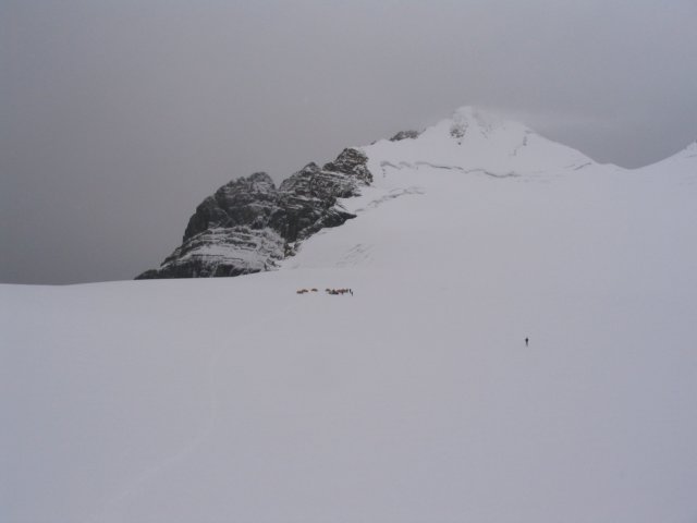 basecamp12.jpg