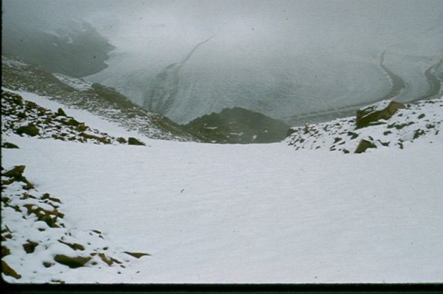 scan0024.jpg