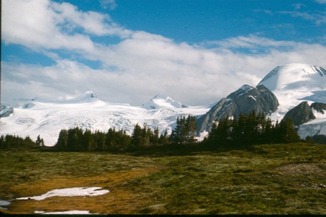scan0036.jpg