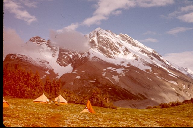 scan0049.jpg
