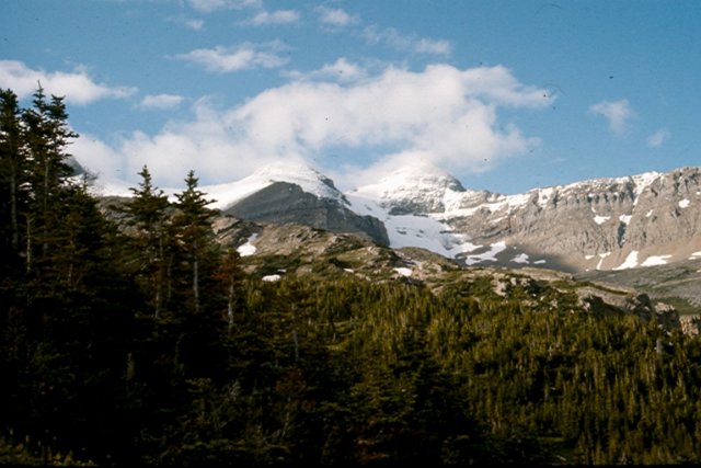 scan0051.jpg