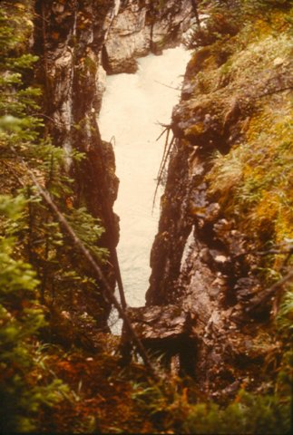 scan0007_1.jpg
