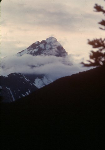 scan0009_1.jpg