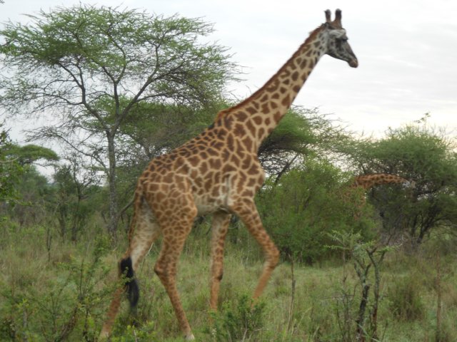 dscn0198.jpg
