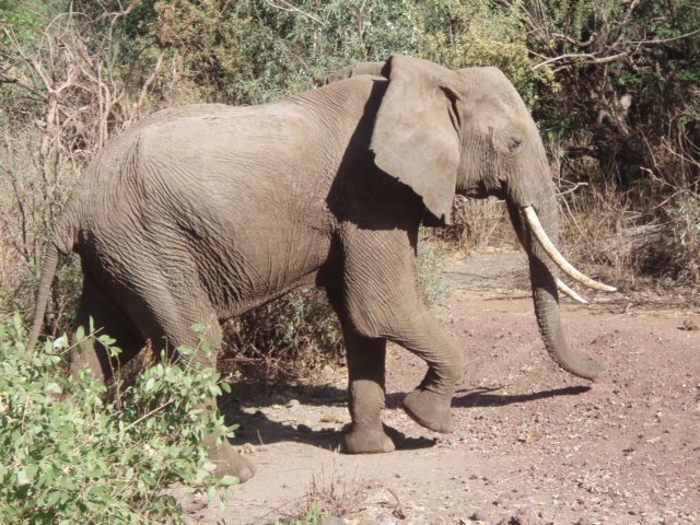 pa034384.jpg