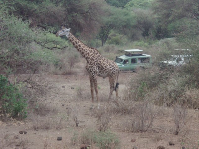 pa034438.jpg