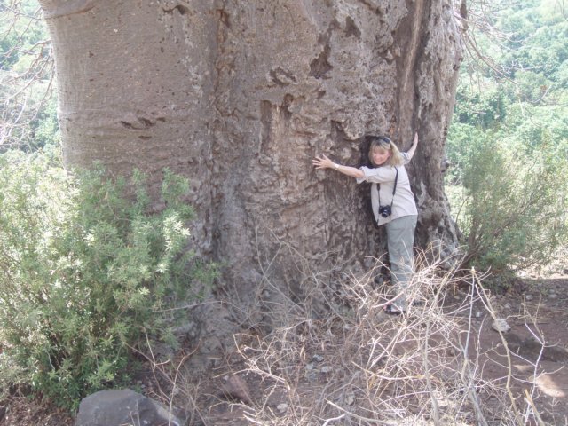 pa044460.jpg