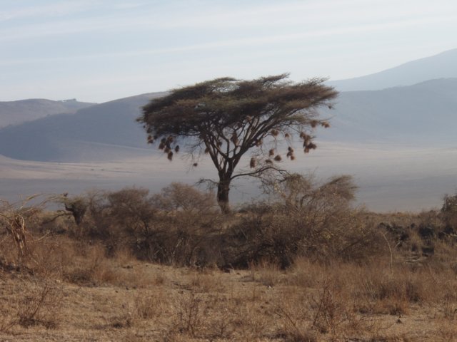 pa044522.jpg