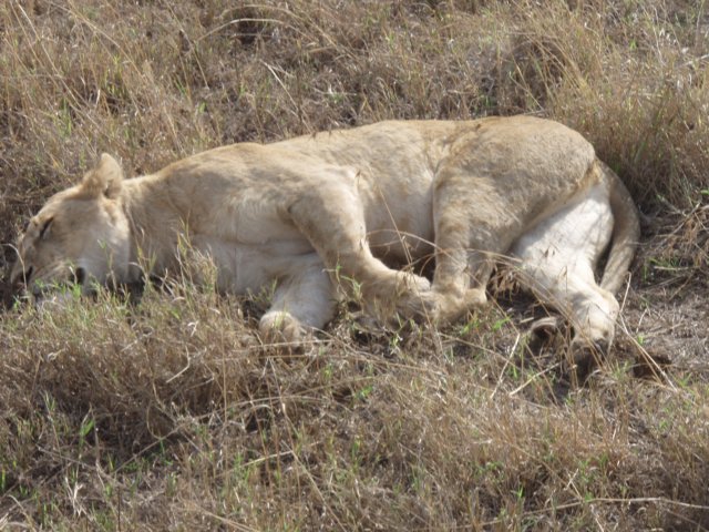 pa044576.jpg