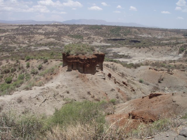 pa054641.jpg