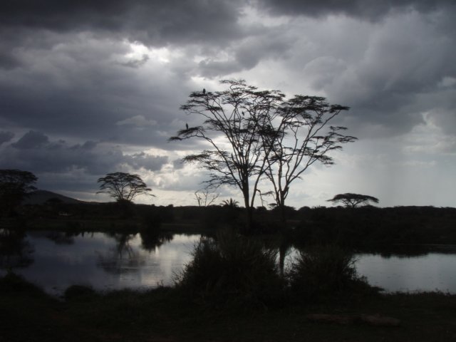 pa054678.jpg