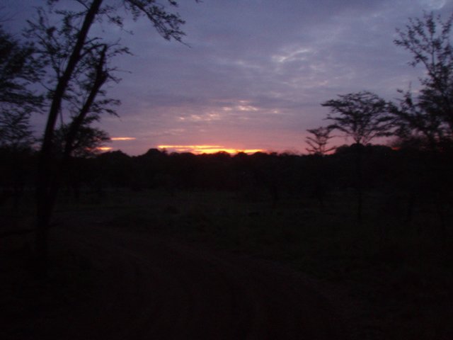 pa054701.jpg
