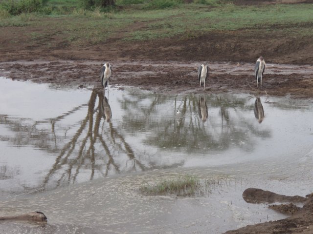 pa054734.jpg