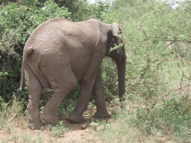 pa064843.jpg